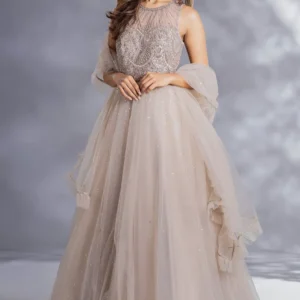 Champagne Beige Embellished Net Gown with Dupatta